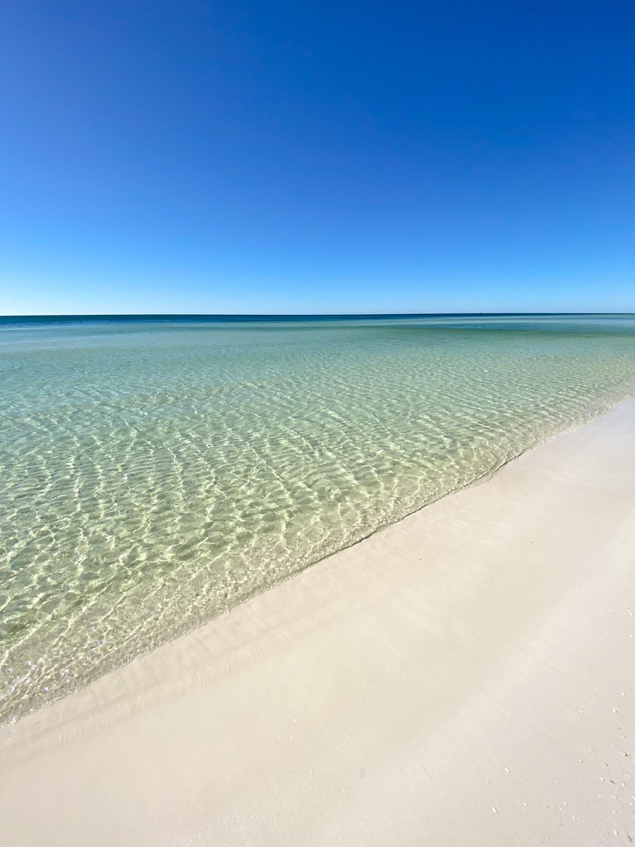 South Walton tweet media