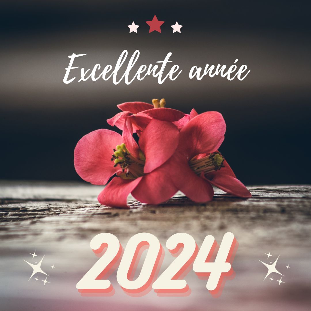 boutiquevegetal's tweet photo. ✨ Toute l'équipe de Boutique Végétale vous présente ses meilleurs #Vœux pour l'année #2024 !
Que cette année soit florissante  pour chacun de vous ! 🌺
.
📸 Merci à @justine.ldh pour la photo ! 
#boutiquevegetale #naturelovers #wishes https://t.co/YTYInyO2TH