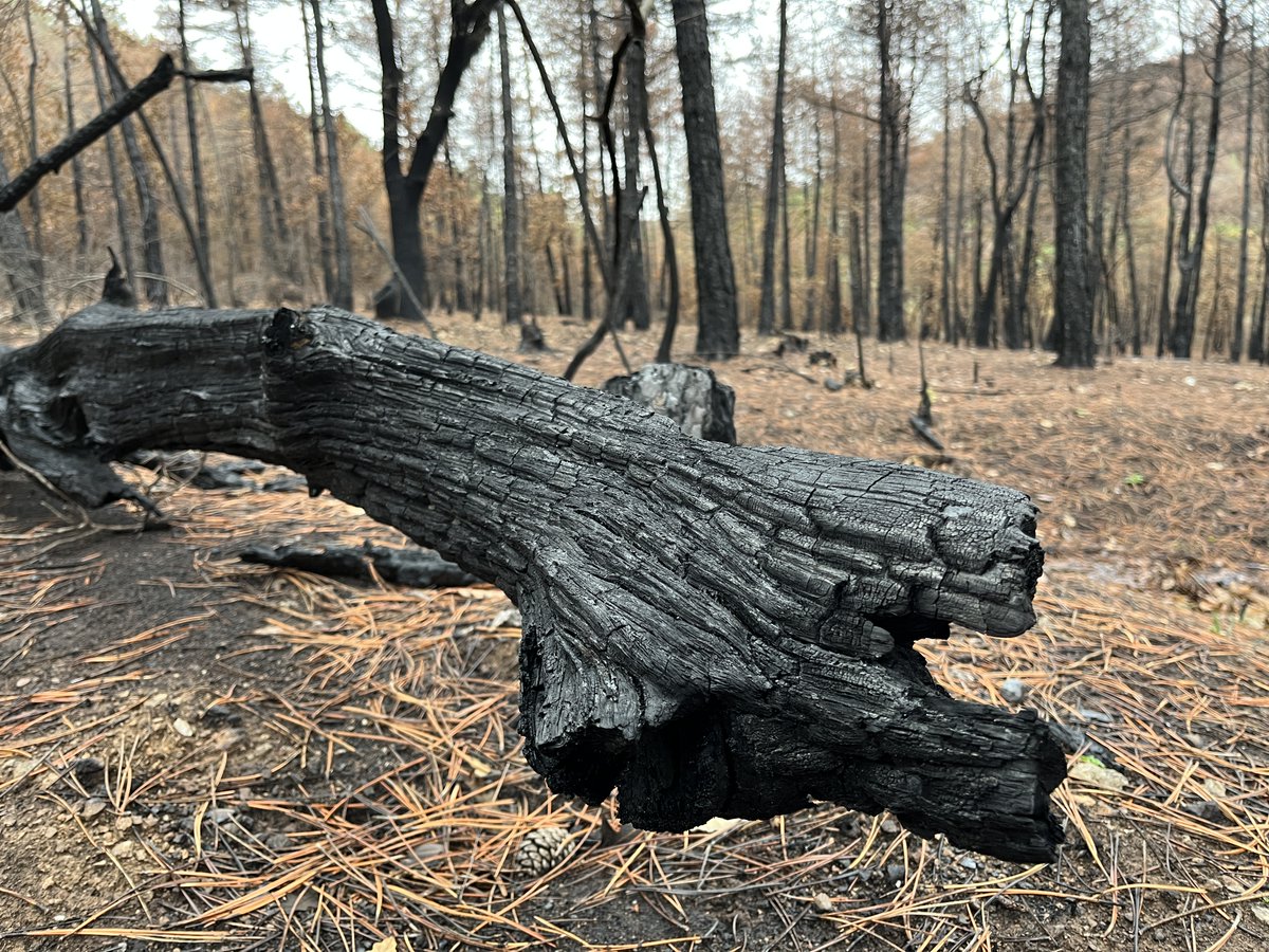 Kostas Dinas, a retired Greek lawyer, figured he'd live in his home until 'they carried me out flat.' But then came the hottest year humanity had ever seen. My story on what life on looked like as we crossed into a new, boiling climate era. wapo.st/47lxu1B