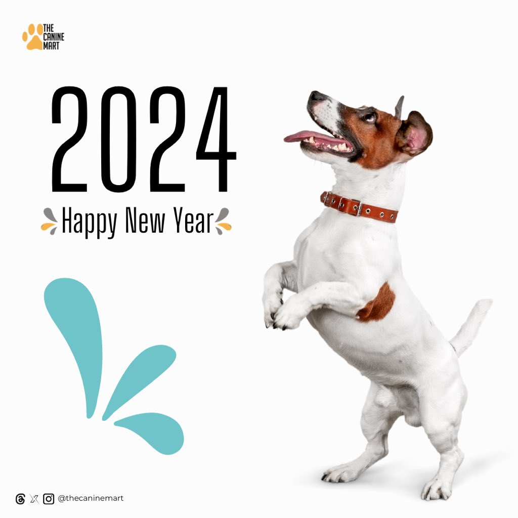 thecaninemart's tweet photo. Happy New Year!! https://t.co/24YwSUp5dN