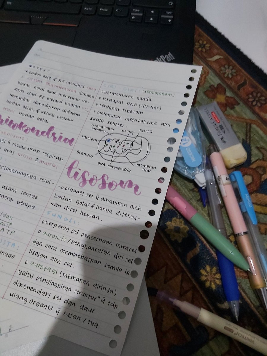 gyutweetz's tweet photo. ˚ ༘♡ ·˚꒰ ama's study progress ꒱ ₊˚ˑ༄
₊˚ ⁰¹ ⁰¹ ²⁴₊˚

— page 1 of 2024
hari ini sedikit ngelanjutin catatan bio yg kemarin sambil nonton earth arcade + makan mie 🍜 🤩 tp ngelanjutin lagi tp cuma bentaran ken pusing kepala 🤒

[#studytwt #ambisverse #amastudy] https://t.co/GYTFGOflVD