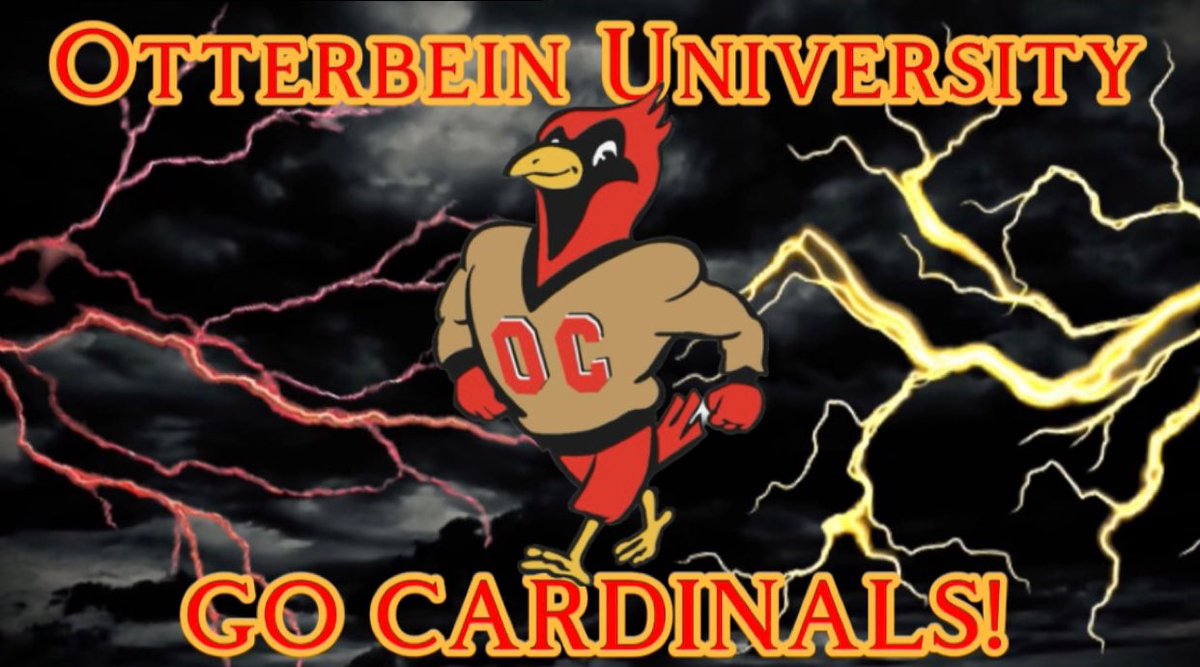 ❌arcus Bush tweet media