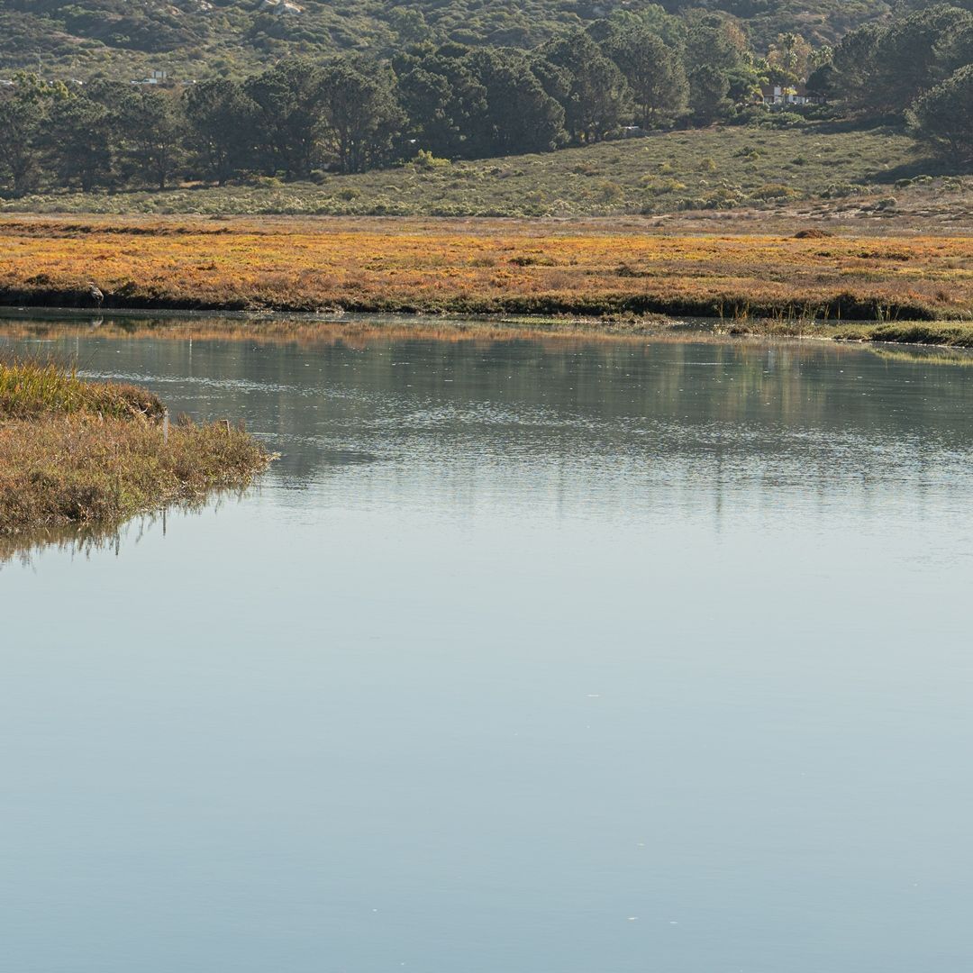 sdrvc's tweet image. Here’s to smooth waters for the New Year. Have a great 2024, everybody!

#SDRVC #SDRP #SanDieguitoRiverPark #SanDiego #SanDieguitoLagoon #SanDiegoCounty #DelMar #SoCal #California #hiking #hikesd #water #rivers #lagoon #wild #keepitwild #exploresd #hikers #getoutside #optoutside