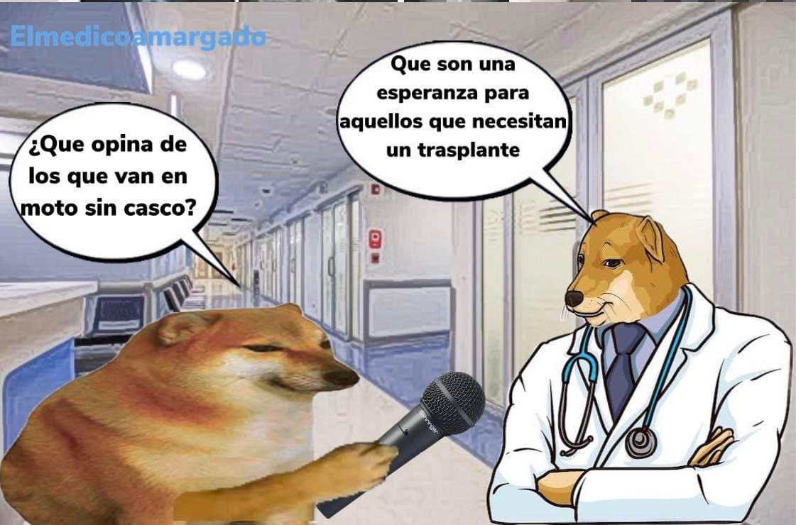 𝕰𝖑 𝖒é𝖉𝖎𝖈𝖔 𝖆𝖒𝖆𝖗𝖌𝖆𝖉𝖔 (@med_amargado) on Twitter photo 