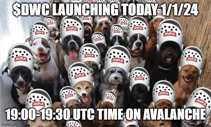 We want $DWC to be a true community meme coin.  That's why we chose to airdrop 1% of supply.

Not to any insiders or influencers, but to the people who have been the most active in the larger Avax community and those that have supported the growth of the Dog wif crocs community.