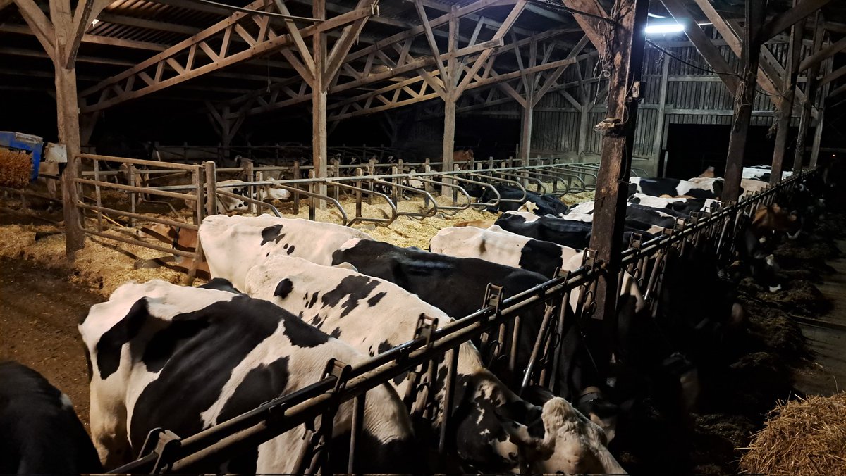 Paysan depuis 22 ans !

Bon anniversaire à nous mes grandes