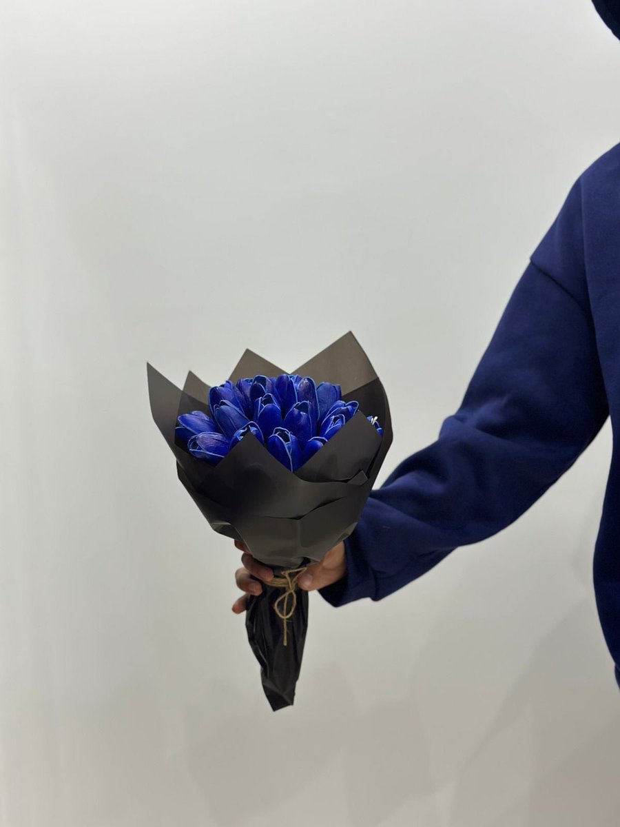 blue1_clr's tweet photo. blue tulips 💙 https://t.co/bNWgDUeeiz