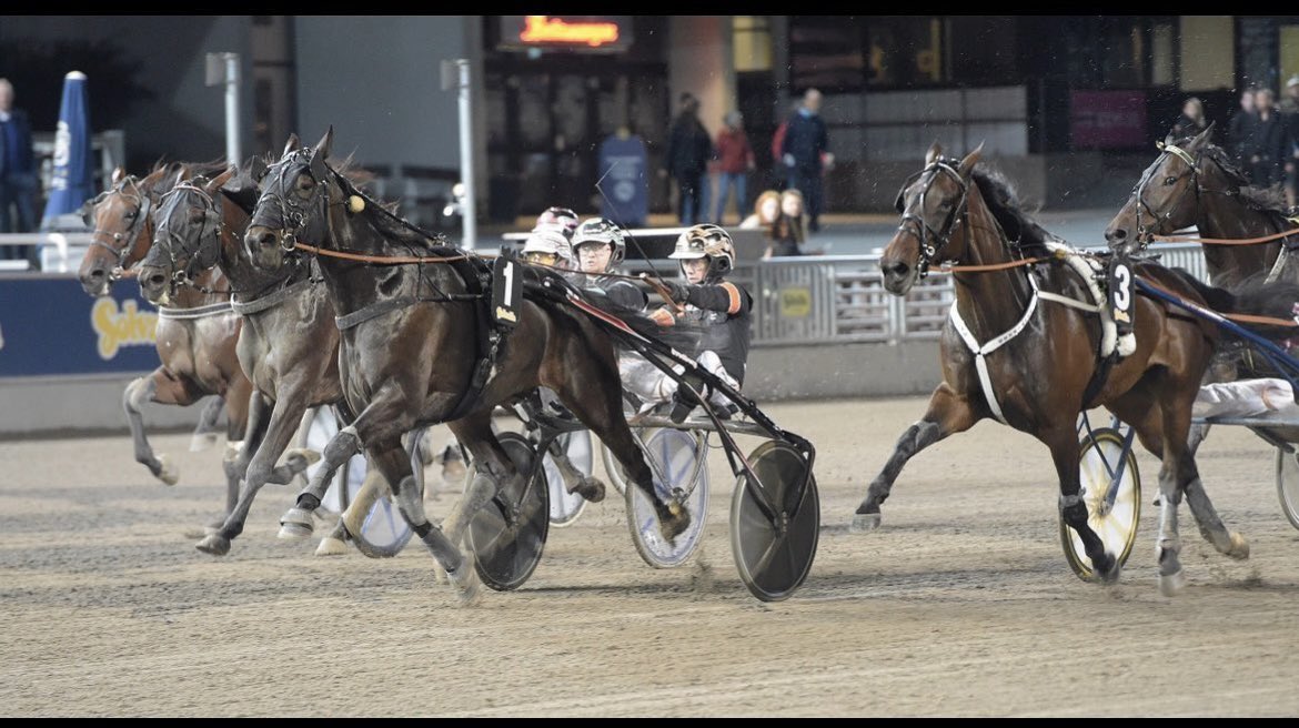 2023 är över, ett roligt år med bl.a. SHJ Stipendiet som höjdpunkt. Även första Solvalla seger väger tungt. Samt vinsten med Jalapeno K minns jag fint, ruggit mysig häst. 
God fortsättning! 🎉