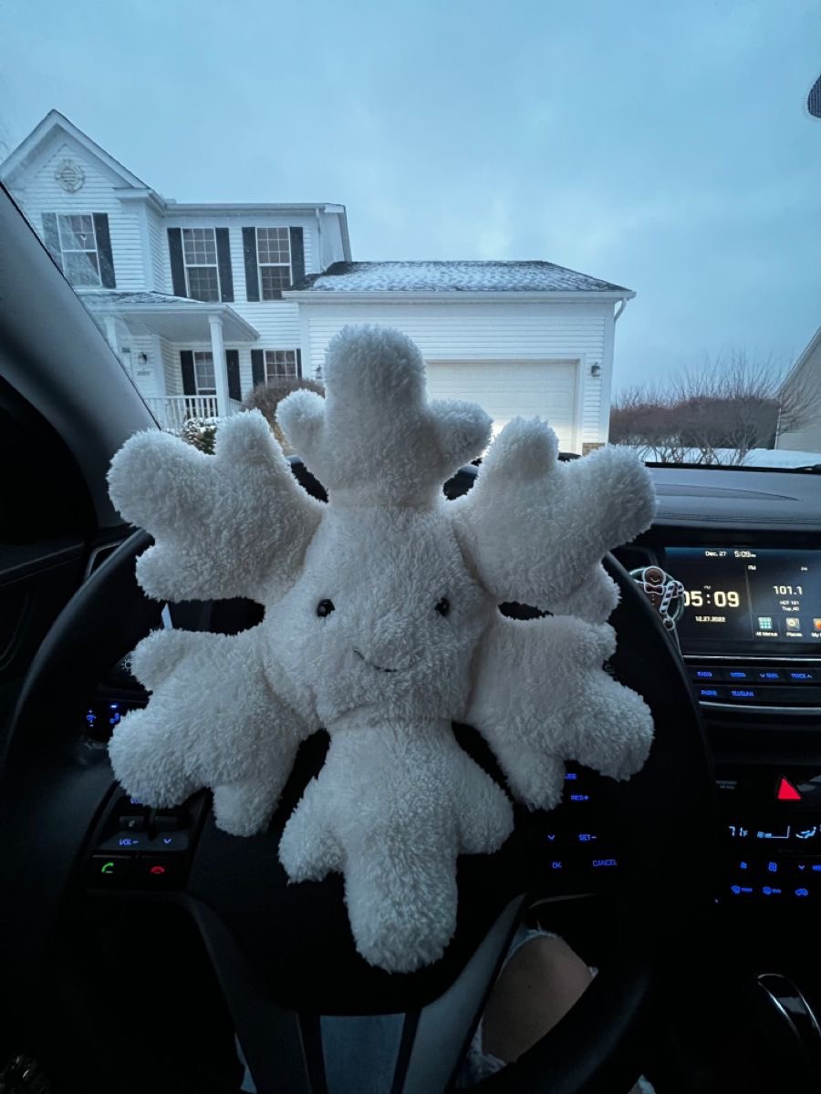300moods's tweet photo. snowflake plushie ❄️ https://t.co/38yk607PXQ