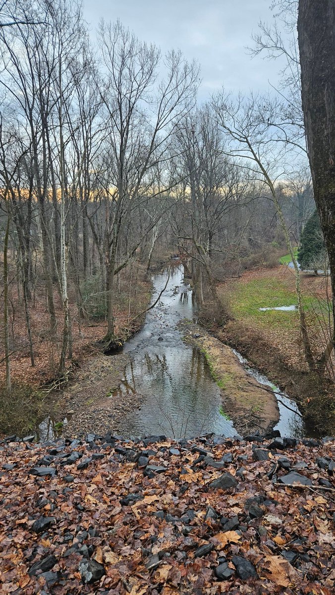 Maybe I'll give this twitter thing a try in 24. 🤣
Definitely slacked on social media the second half of last yr..
Anyway, hope you are all well.
Happy new year!

20 miles to start the yr..