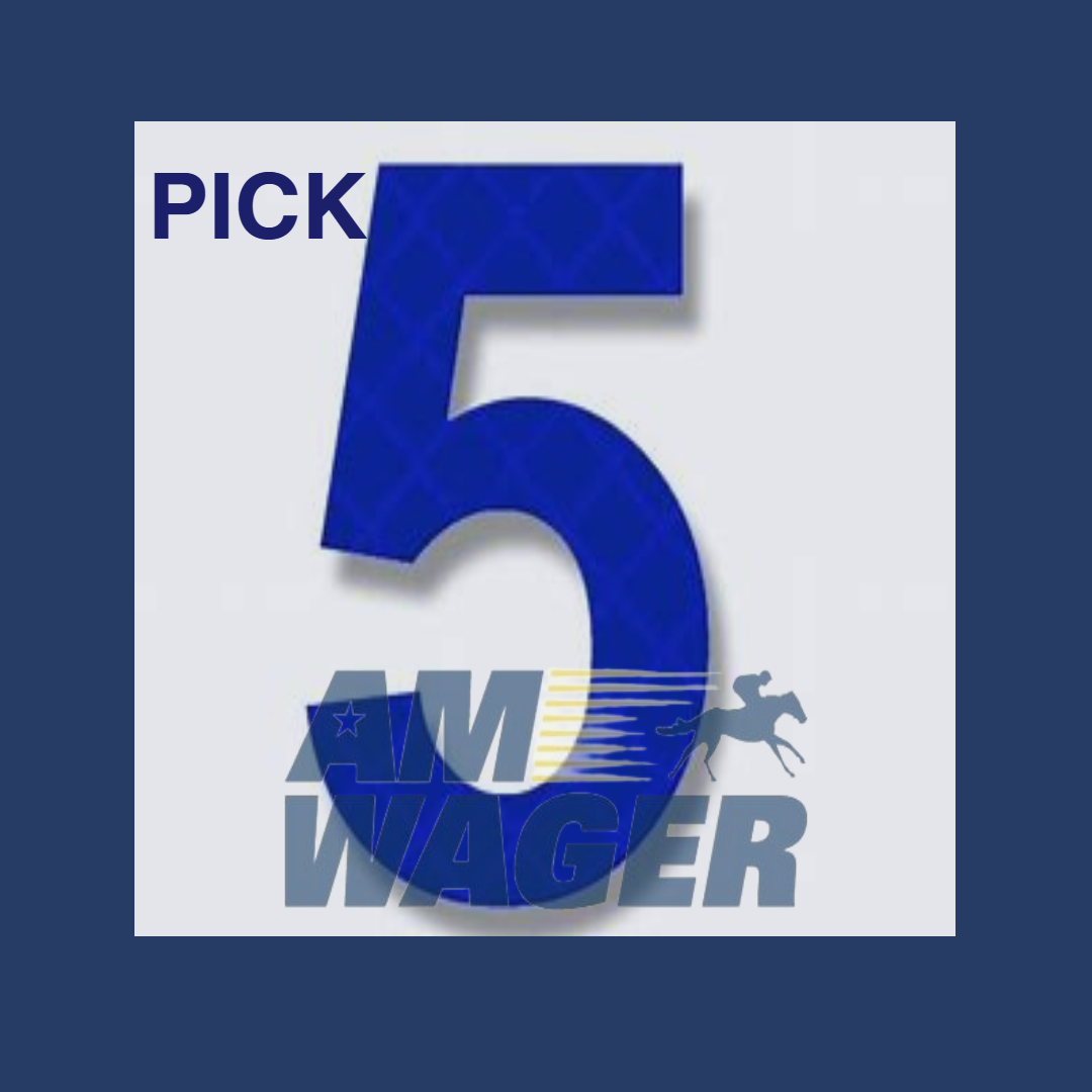 AmWager's tweet photo. The horses are approaching the gate for the opener at #theBigA #Aqueduct, the opener offering the PK 3 and the Pk 5 on their 8 race card, maybe a possible Dutrow single with #4 Capone, race 4! Play now with https://t.co/FAcB1G9mQa #horsracing #newyork #hesback #pk5 https://t.co/erE1AWsydM