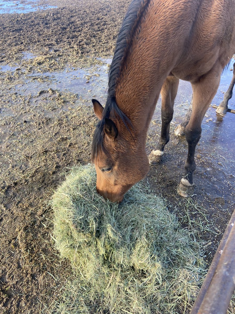 Happy New Year everyone!!! Take a moment to feed …