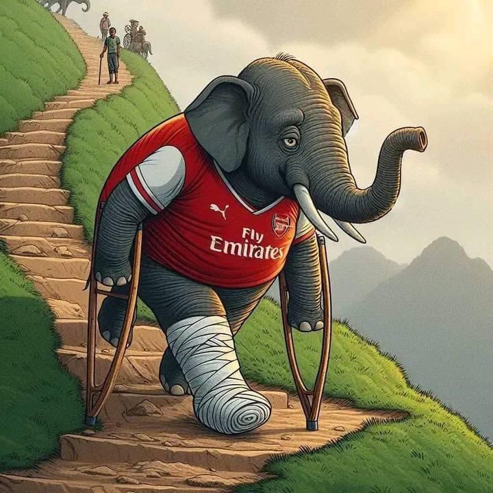 Elephant 🐘🐘 is back from Fulham hospital 😂😂😂😂😂