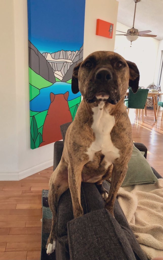 Jen The Feisty Librarian tweet media