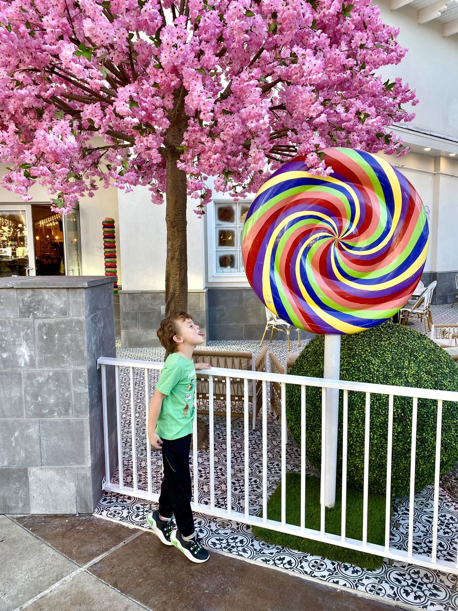 Thomas Beatie tweet media