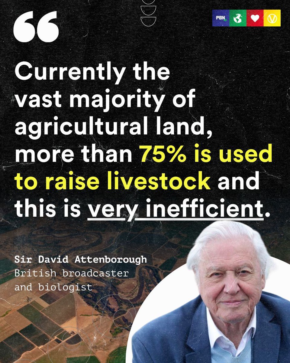 PlantBasedNews's tweet photo. In a recent episode of ‘Planet Earth III,’ Sir David Attenborough spoke about the environmental benefits of plant-based food..

Read more here - https://t.co/2RNdXaYFFr https://t.co/Qe8D18lnl1