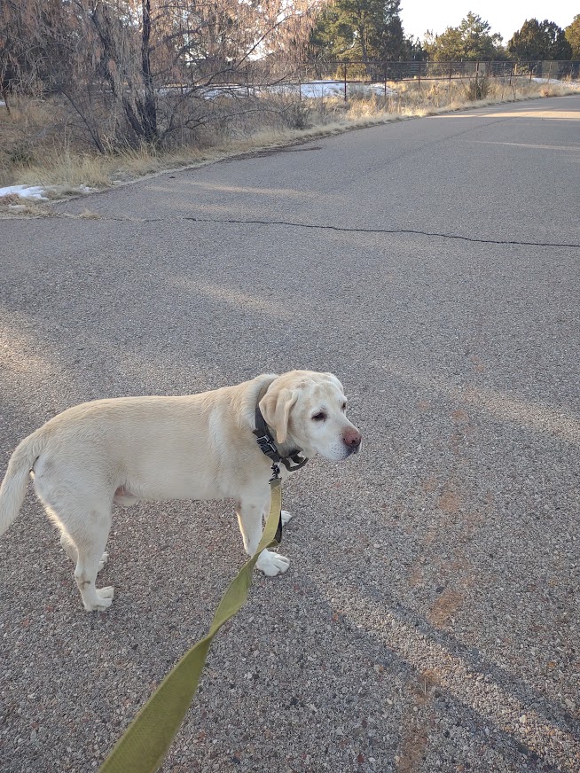 APS Employee Wellness tweet media