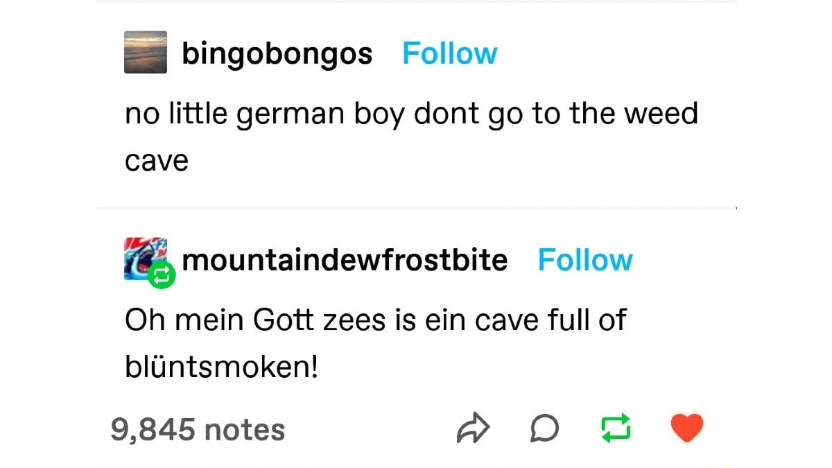 bingobongos Follow
no little german boy dont go to the weed cave
mountaindewfrostbite Follow
Oh mein Gott zees is ein cave full of blüntsmoken!
9,845 notes