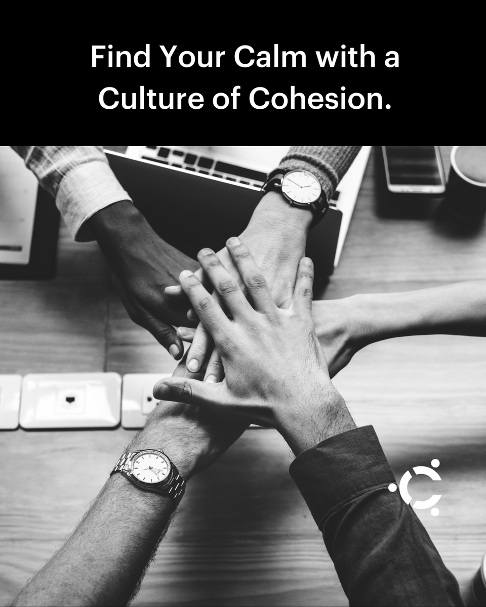 CulturefyAi's tweet image. Find serenity in the hustle with Culturefy. We aid in building a culture of cohesion, valuing every voice and promoting teamwork. Share how you nurture unity in your workspace. Let&apos;s inspire cohesion together! #CultureOfCohesion #WorkplaceUnity #CulturefyLeadership