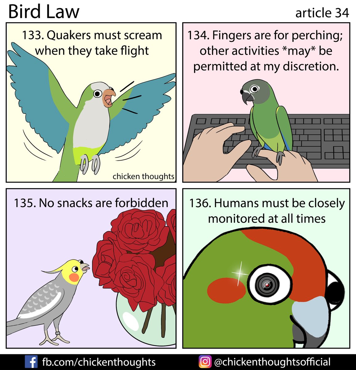 ChickyThoughts's tweet photo. Bird law article 34 starring Matcha, Sami, Fred, and @boba.riki!  

Side note, thank you so much for all of your kind words after yesterday's comic! ❤ https://t.co/8AIzygqsCQ