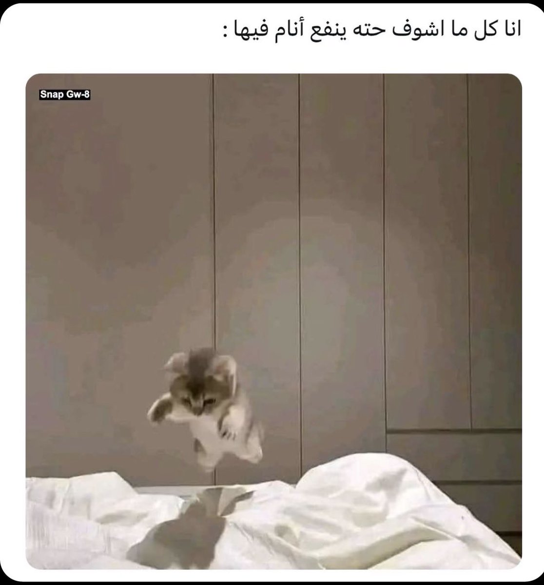 RHYQ333's tweet photo. ؛
٩:١٨م
خلآص عيوني صآرت تنزل😴..
#sleeep https://t.co/jQ0dqhV6EN