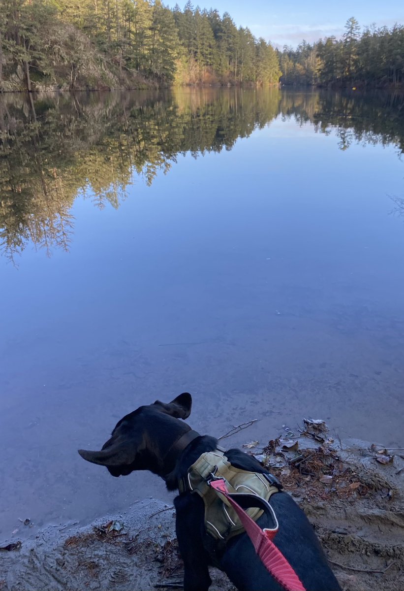 Andrew Rathwell tweet media