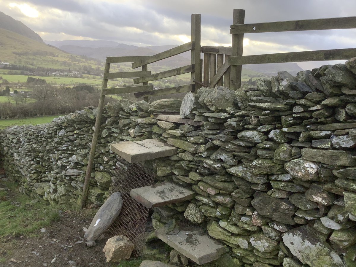 My stone stile near Gategill, Blencathra is in #StileCup2024 semi-final and I would be happy to see it in the final
All votes and RTs welcome: vote in poll under Stiles' post
@NJPitchford @sue_lennon @HarrietRycroft @Pythika @llewelyn_morgan