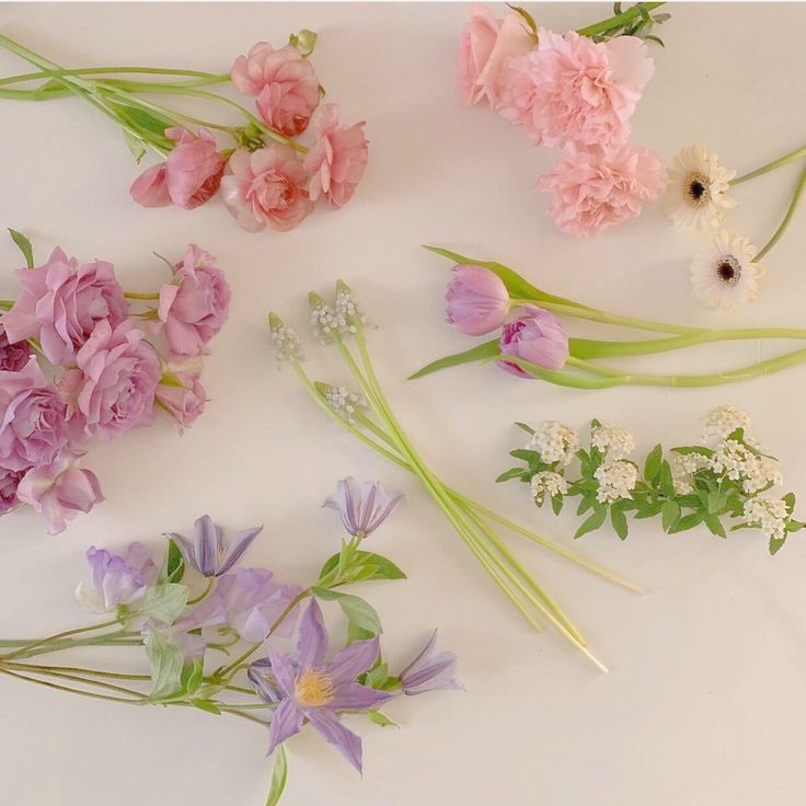 eusebialuv's tweet image. ⠀⠀𖥻 livros lidos em 2024 ˎˊ˗
⠀⠀⠀⠀⠀⠀— a thread;