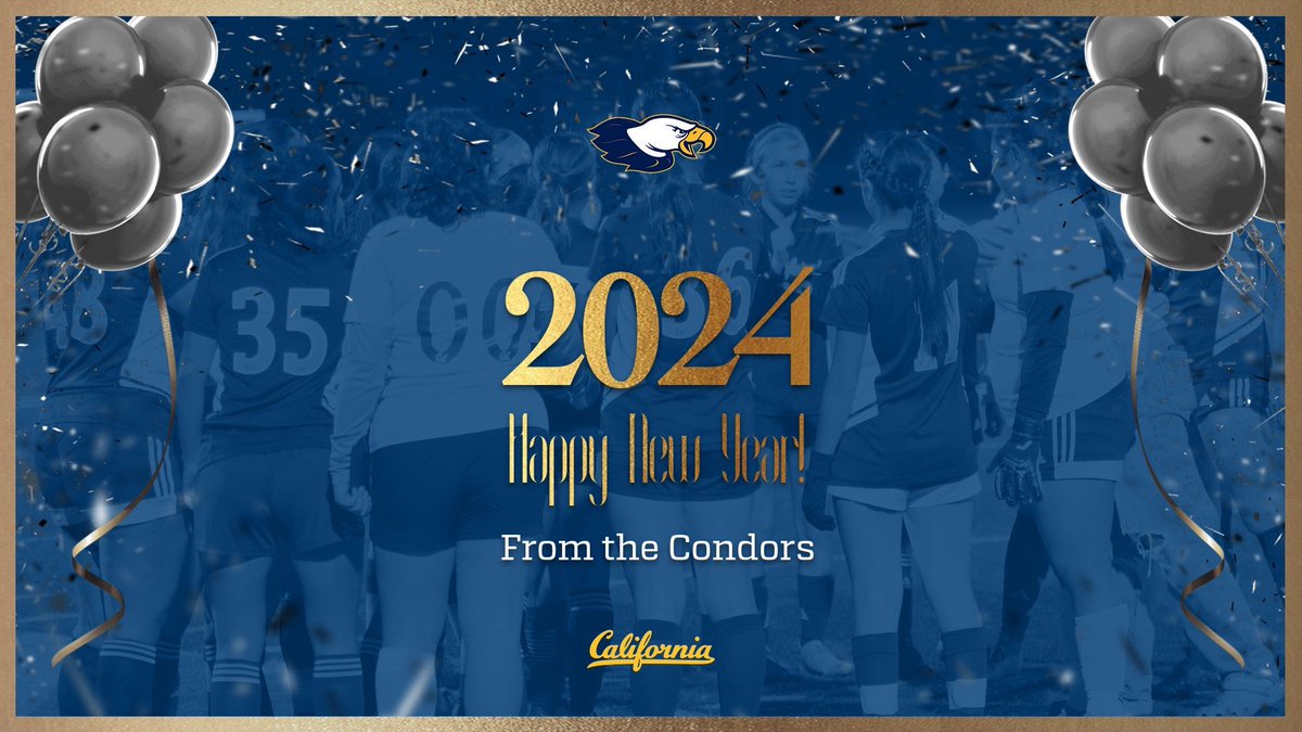 LadyCondors's tweet image. Happy New Year!