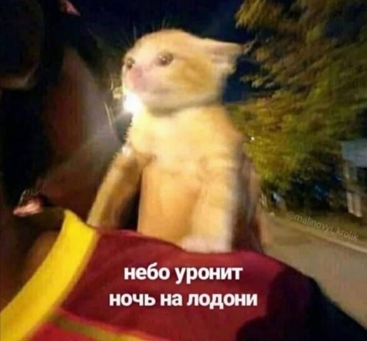 4chan (@rus_4chan) on Twitter photo 
