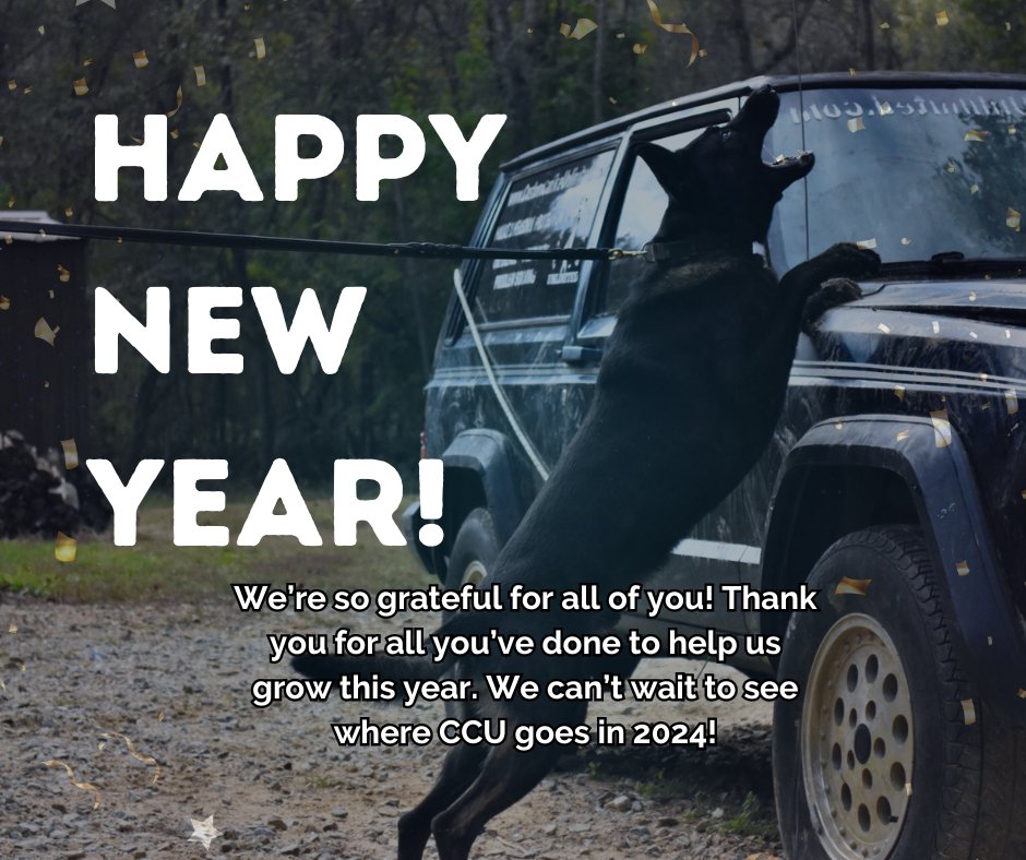 CustomK9Unltd's tweet photo. Happy New Year, CCU Family! We can't wait to see the dogs, trainers, and handlers we will see in 2024. https://t.co/B0TEMcwkhH