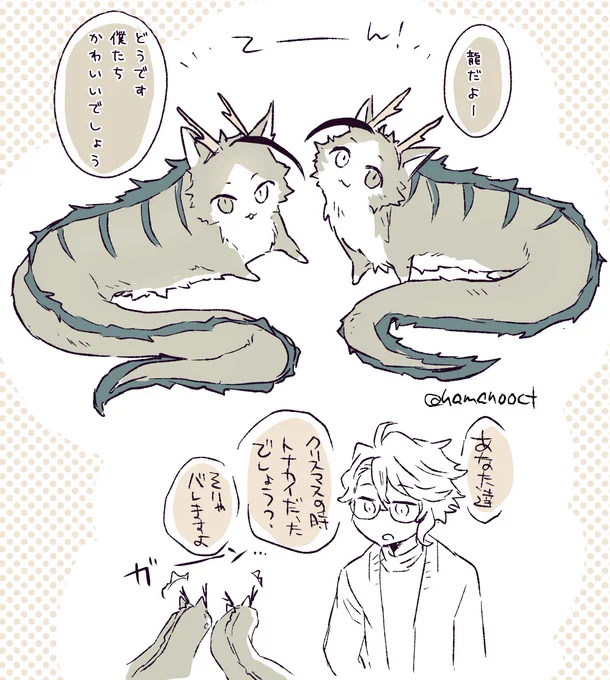 深夜のけだまタイム。 