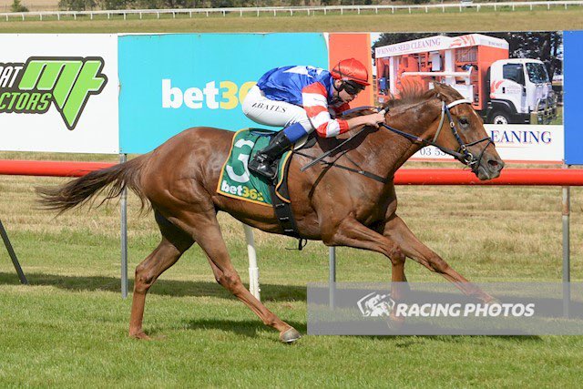 Great to start off the New Year off with another winner. Thanks to Mitch Freedman and his team. The next goal will be to get my own breeches. 🙏🏻🇦🇺