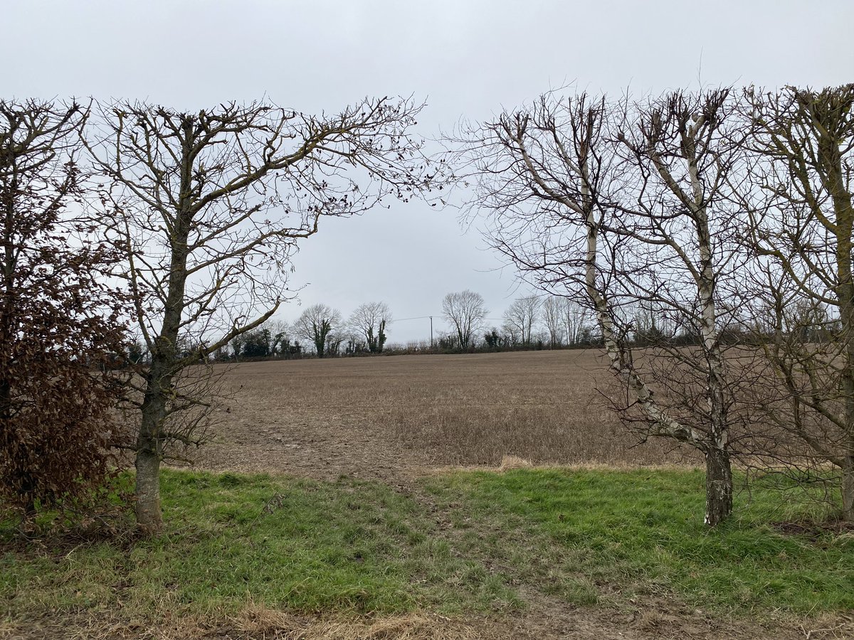 Kimnortondesign's tweet image. New Years Day walk in Kent with @Ben_Winkley 

Here’s to a happy, healthy and creative 2024. 

#newyear #kent #creativepractice #making #art #contemporaryceramics