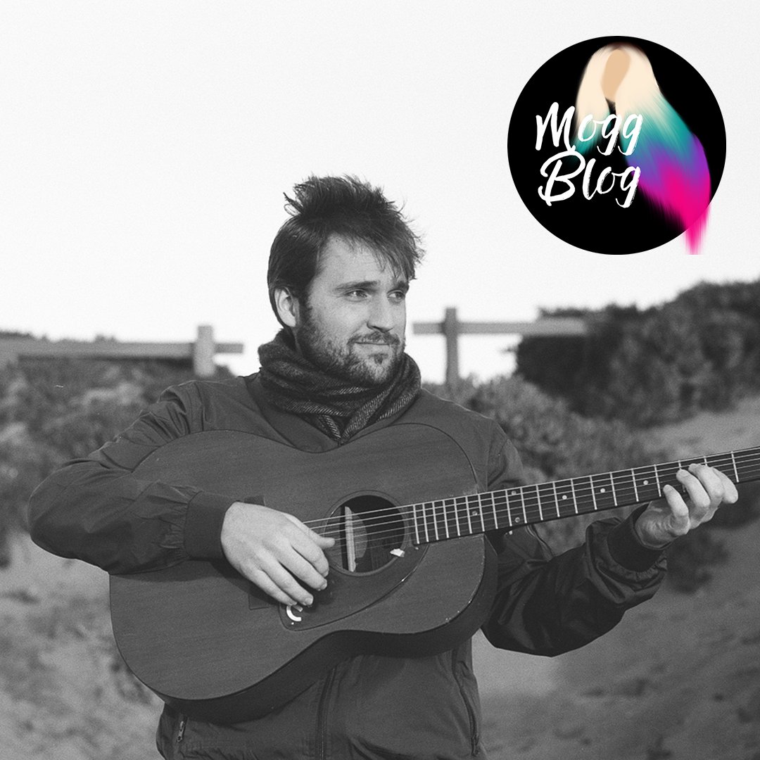 MoggBlog tweet media