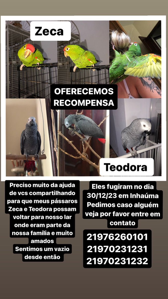 Preciso muito da ajuda de todos, desde já o meu muito obrigado!
#compartilhem 🫶🏻