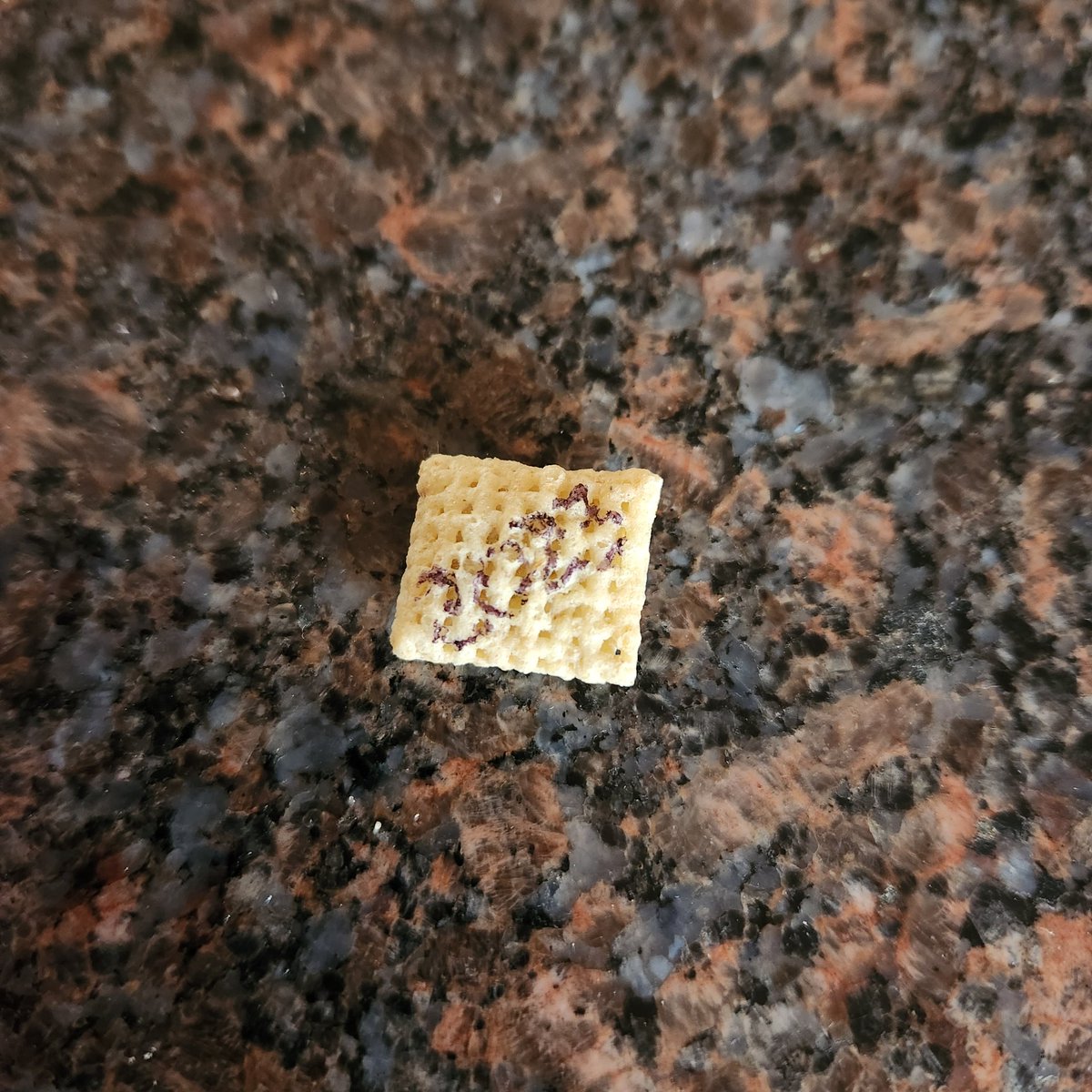 Lisa Mokaba (she/her) tweet media