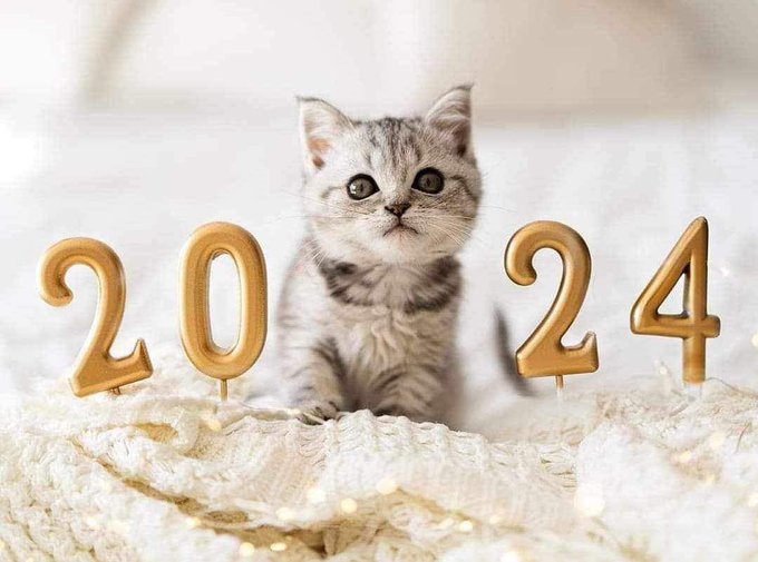 I wish a happy, a blessed, a healthy and a peaceful new year my lovers! ❤️&zwj;🔥 https://t.co/WZhQHbNa3a