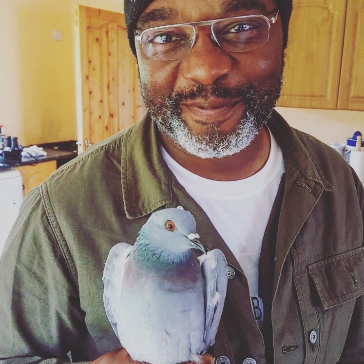 What was your first bird in 2024? Mine wasn't this Rock Dove. I heard a House Sparrow and actually saw a Collared Dove. Rock Dove Cape Clear, Co. Cork, Ireland 2017