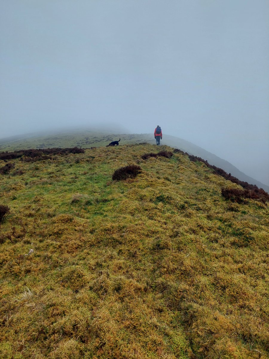 The Wainwright Society tweet media