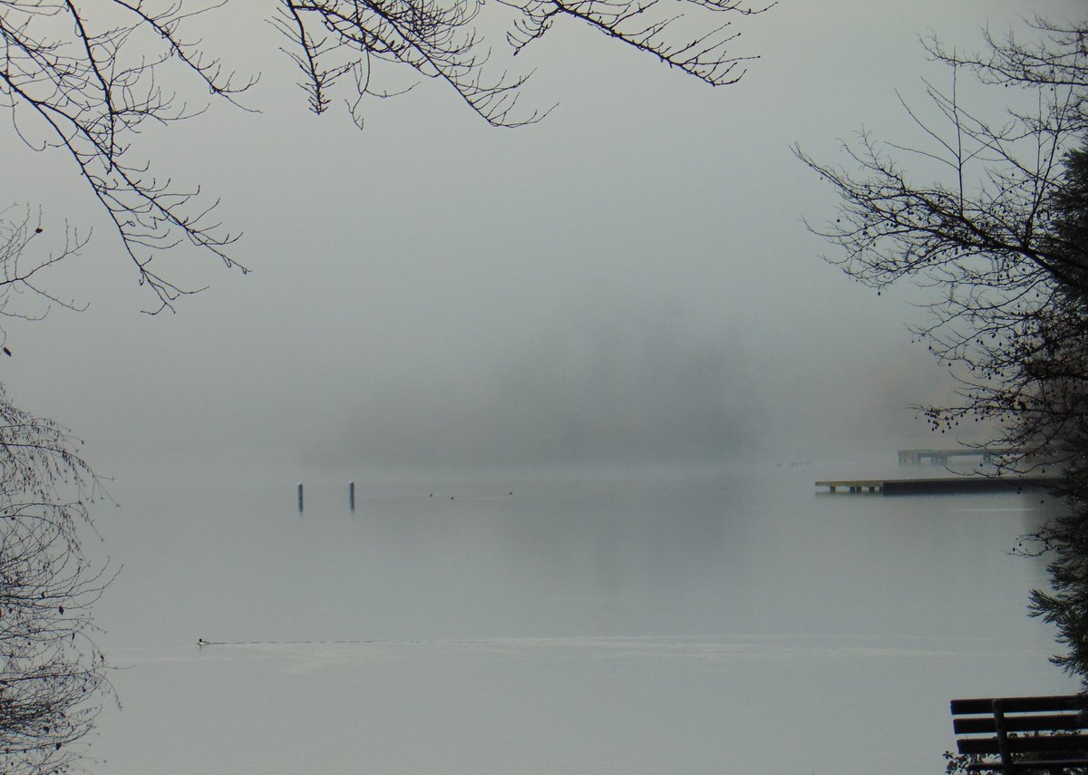 WaParksVisitor's tweet photo. Recent foggy view of Duck Island, Green Lake, Seattle. #photography #NaturePhotography   @SeattleParks https://t.co/mS4LuhAb7n