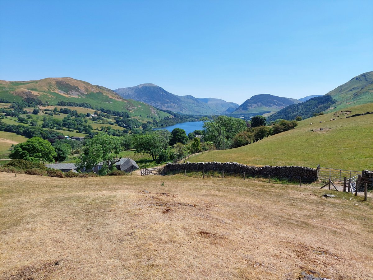 The Wainwright Society tweet media