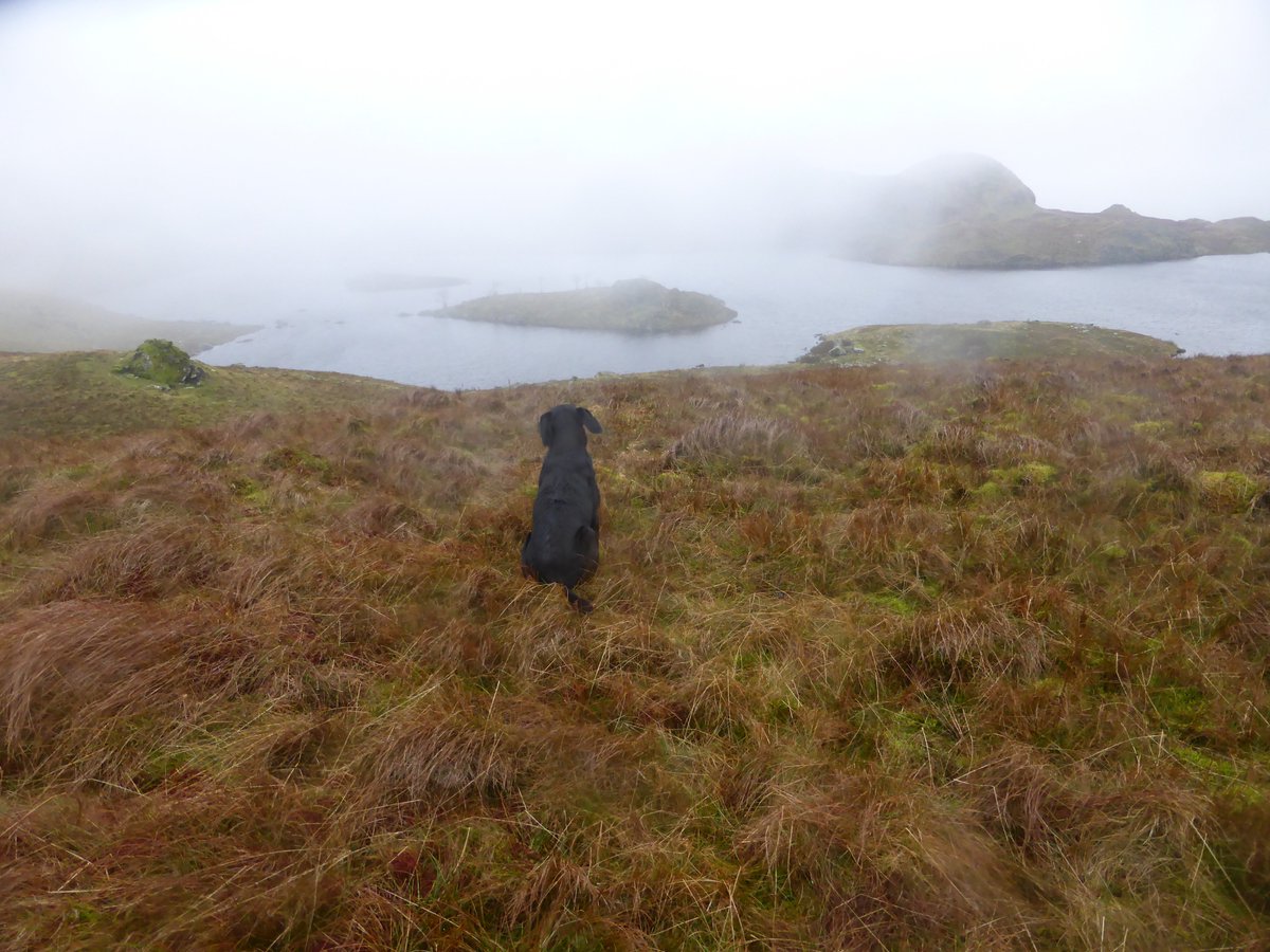 The Wainwright Society tweet media