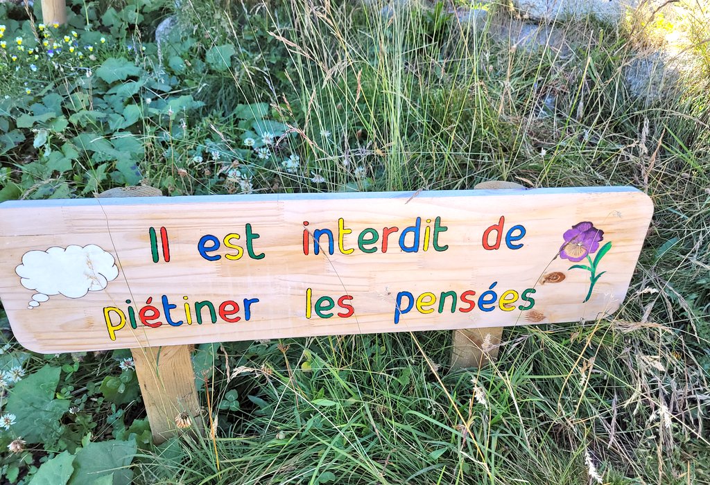 Wicked mind 𝍎𝌆 tweet media