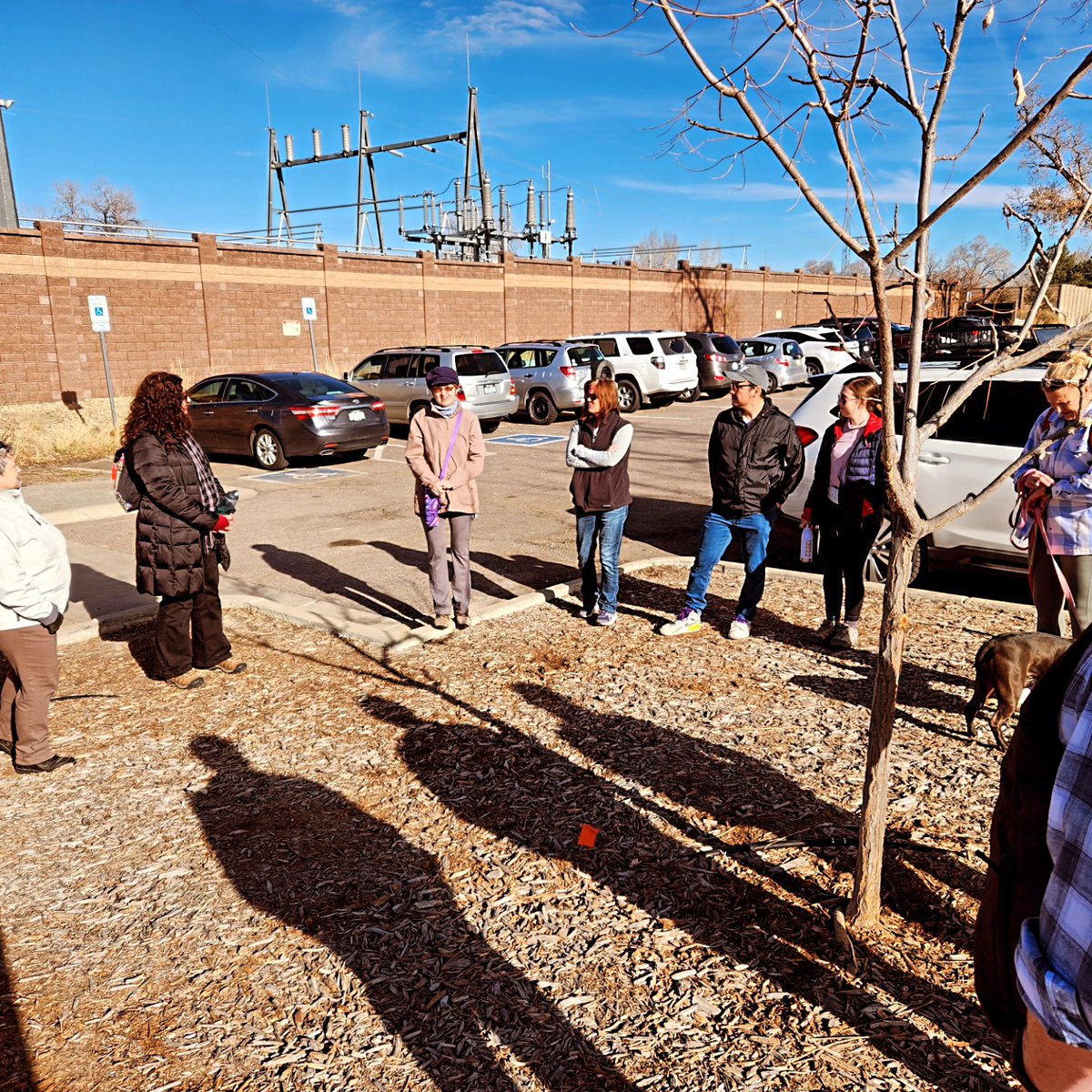 LongmontWalks's tweet photo. Happy New Year, Longmont!
Check our walks on @meetup - Longmont Walks group.
#Longmont #LongmontWalks #visitlongmontcolorado #newyear #resolution #walking #americawalks #publichealth #made2walk #made2move #walk2connect #Lifeat3MPH https://t.co/zMEOEtfvce
