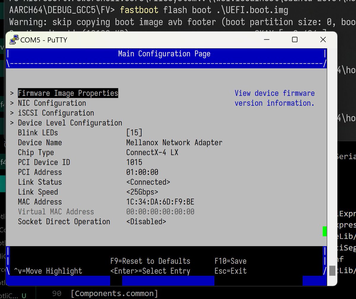 Sunshine Biscuit at scale 🍪 tweet media