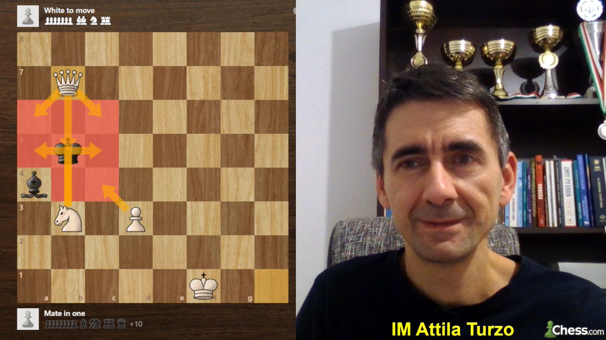 I decided to review 50 basic checkmate patterns and created a video: chess.com/blog/AttilaTur…