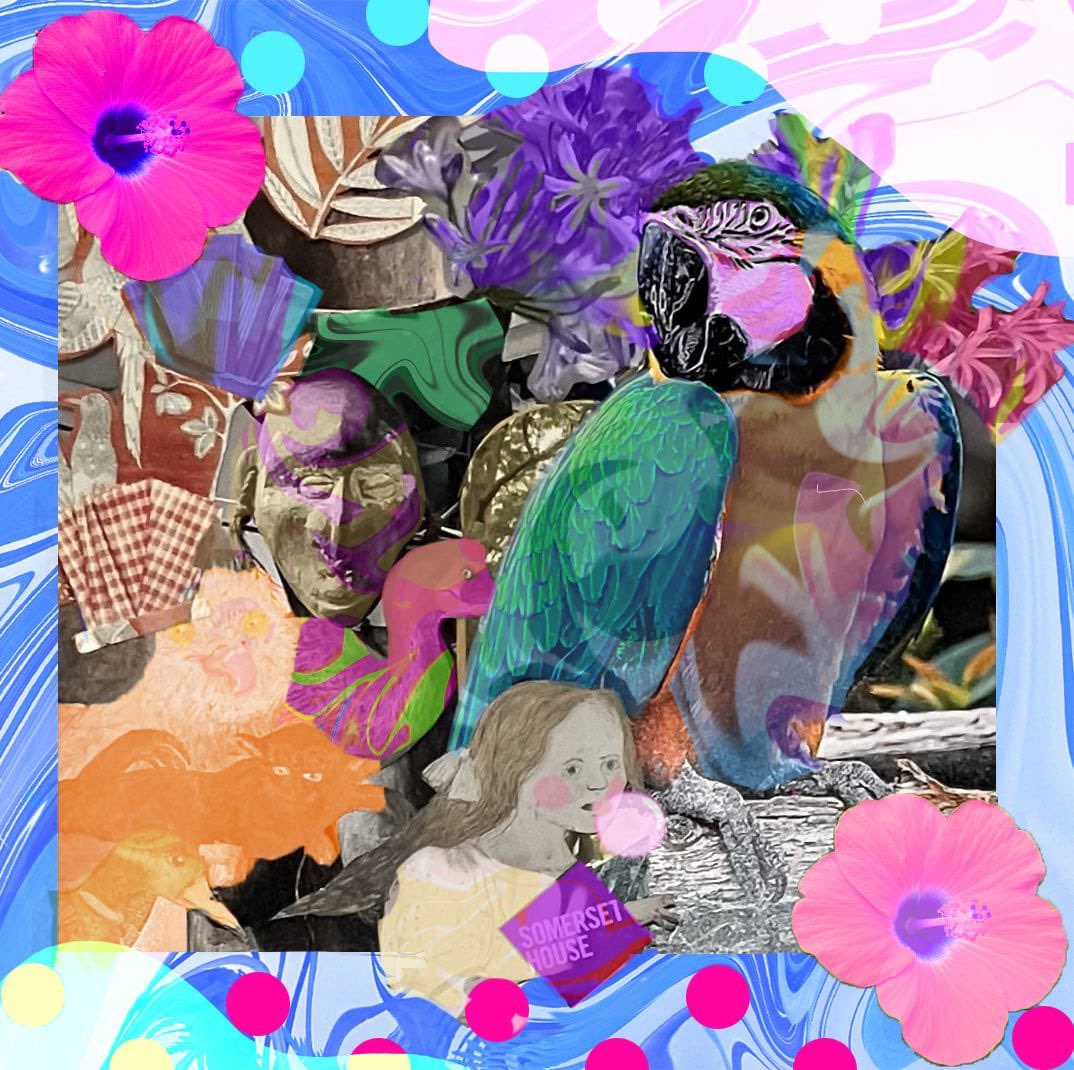 LdnArtPortfolio's tweet photo. Introduction to Adobe Photoshop 12-15 year olds. #2024NewYear #stilllife #art #project #hand & #digital #collage #design #colourways #coloured #parrot #palette #photoshop #layering #selection. School Children welcome Enquire to find out more: 07919846746 https://t.co/MqWpWgqIz6