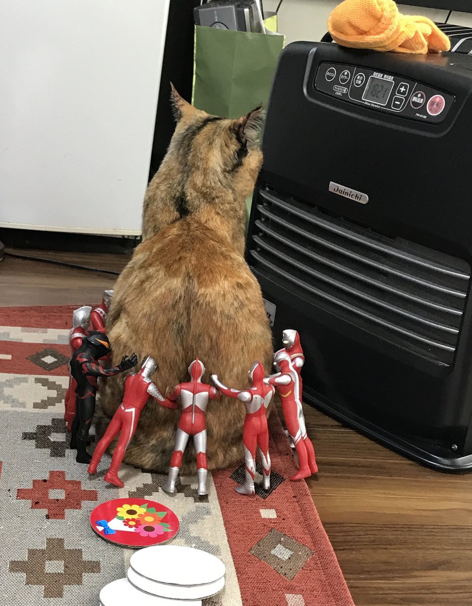 たぬきちページ たぬきち@イラスト (@tanukichi1984) / Posts / X