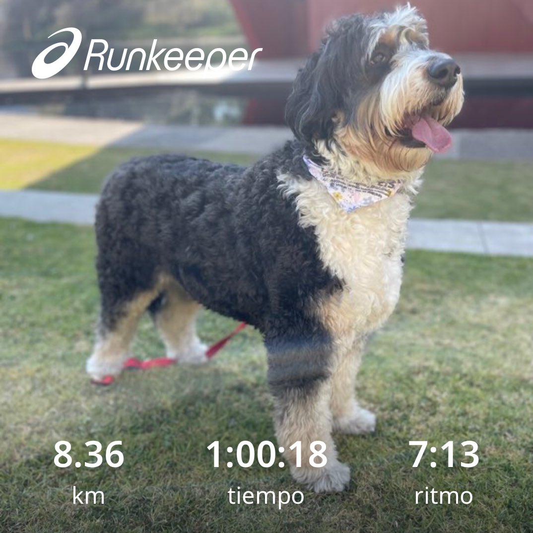 Carlos López de Silanes (@cordobeslopez) on Twitter photo La 1ra 🏃🐕 del 2024. La 1ra 🏃🐕 del 2024.